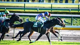Agordino sorprende a los favoritos en la Saudi Arabia Royal Cup (G3) corrida en Tokio