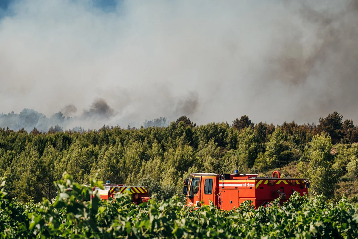 Canicules, incendies... Après un été dévastateur, l'agriculture française sous perfusion