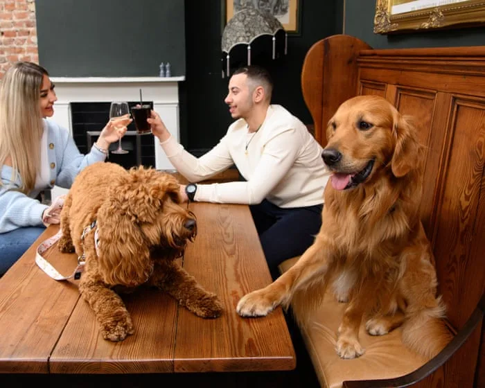 I love seeing pooches in pubs. But not everyone, human or canine, understands the etiquette | Paul Daley