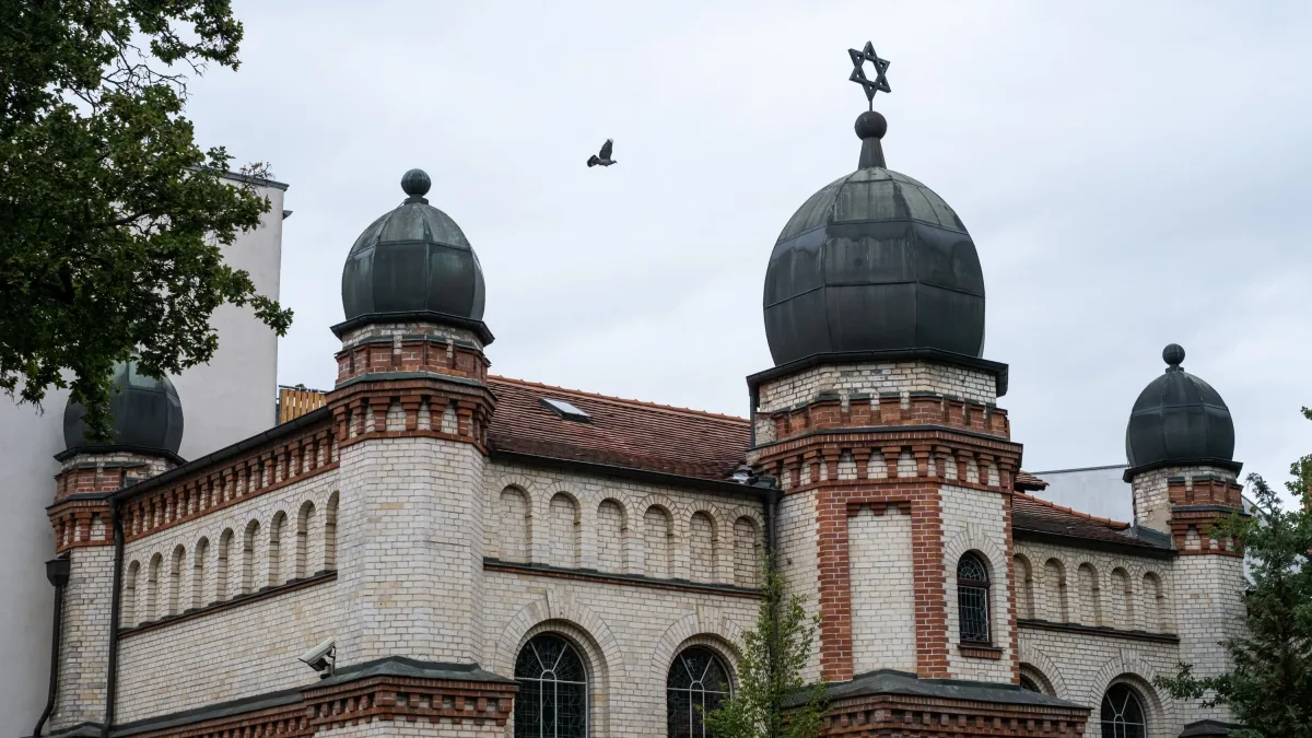 Wahl Sachsen-Anhalt 2026: Warum Juden vor der AfD warnen