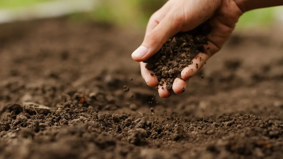 Sauer oder alkalisch? - Wie der pH-Wert des Bodens Ihren Garten beeinflussen kann
