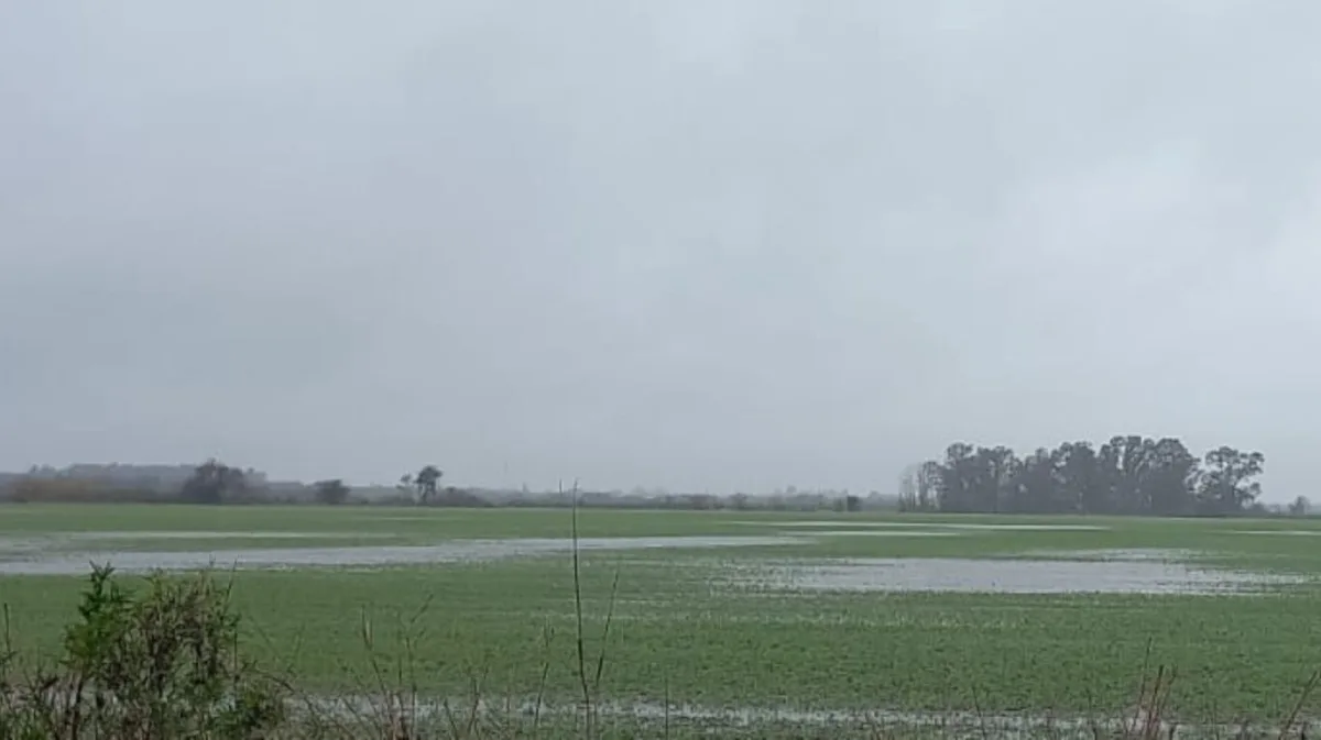 La ONU ratificó que El Niño podría ser el más fuerte de los últimos 40 años: “Se está volviendo gigantesco”