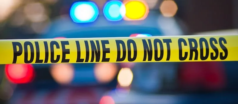 WATCH | Public urged to assist in identifying dead women found ‘dumped’