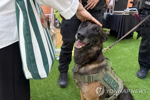 김용태 "은퇴봉사동물 지원예산 편성 2곳뿐…관리체계 개선해야"