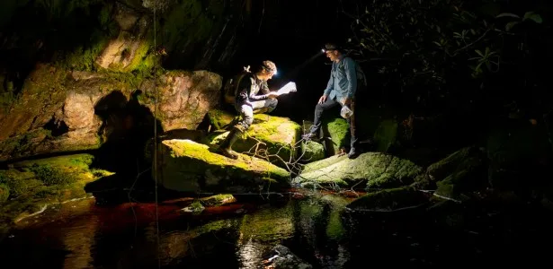 No topo dos tepuis: expedição científica inicia coletas na Serra do Aracá