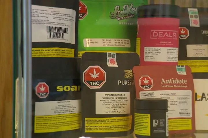 Ottawa pledges millions to study cannabis mental health, pregnancy impacts