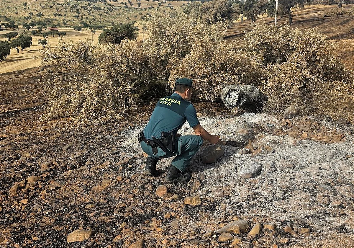 Una negligencia causó el incendio en la ZEPA de Los Blázquez, hogar del buitre leonado, altamente protegido