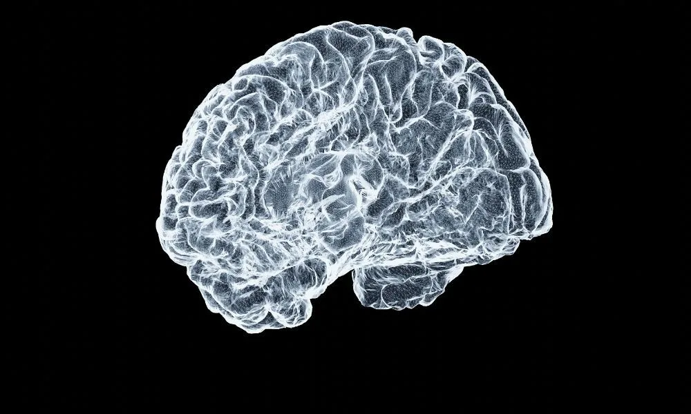Tecnologia e neurociência transformam a reabilitação de crianças e jovens