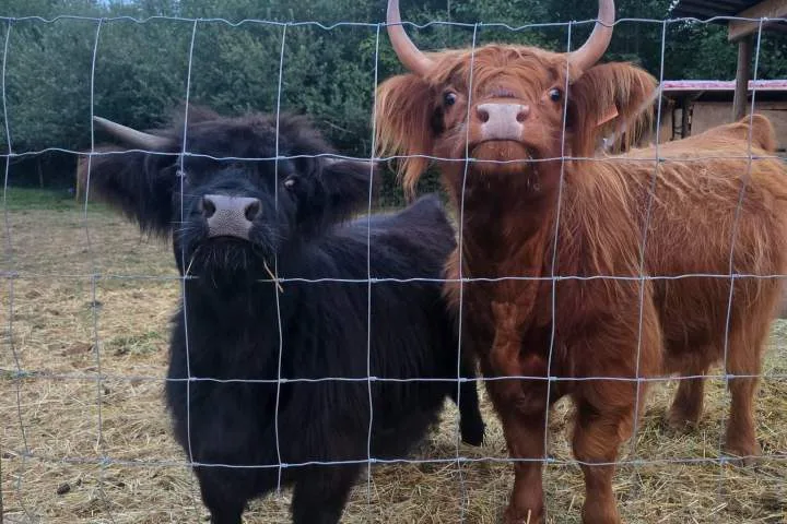 Farmers moving to Nova Scotia where farm costs same as 1-bedroom condo in B.C.