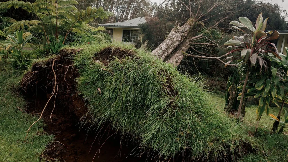 Gefährlicher Sturm: Hurrikan „Lala“ zerstört mehr als 100 Häuser auf Hawaii