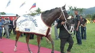 Genética de élite en Coche: La nueva joya de la campeona Endrygol debuta este domingo