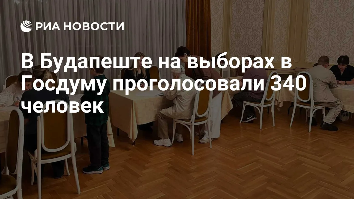 В Будапеште на выборах в Госдуму проголосовали 340 человек