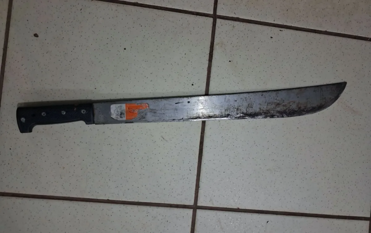 Mulher é presa por ameaçar moradora com facão e chamar PMs de 'cornos' em Caracaraí