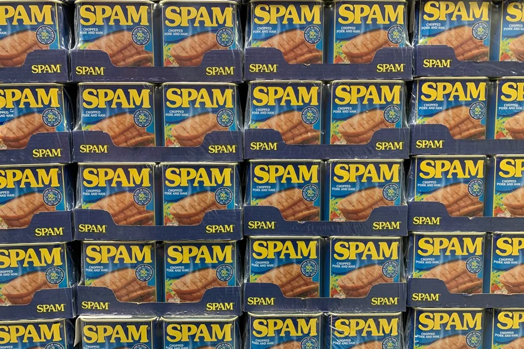 Por que chamamos lixo eletrônico de “spam”?