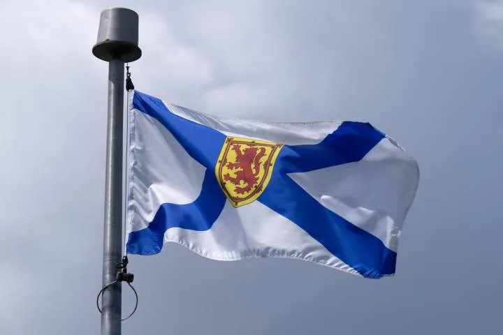 Lawyer says new bill could cause ramped up surveillance of vulnerable Nova Scotians