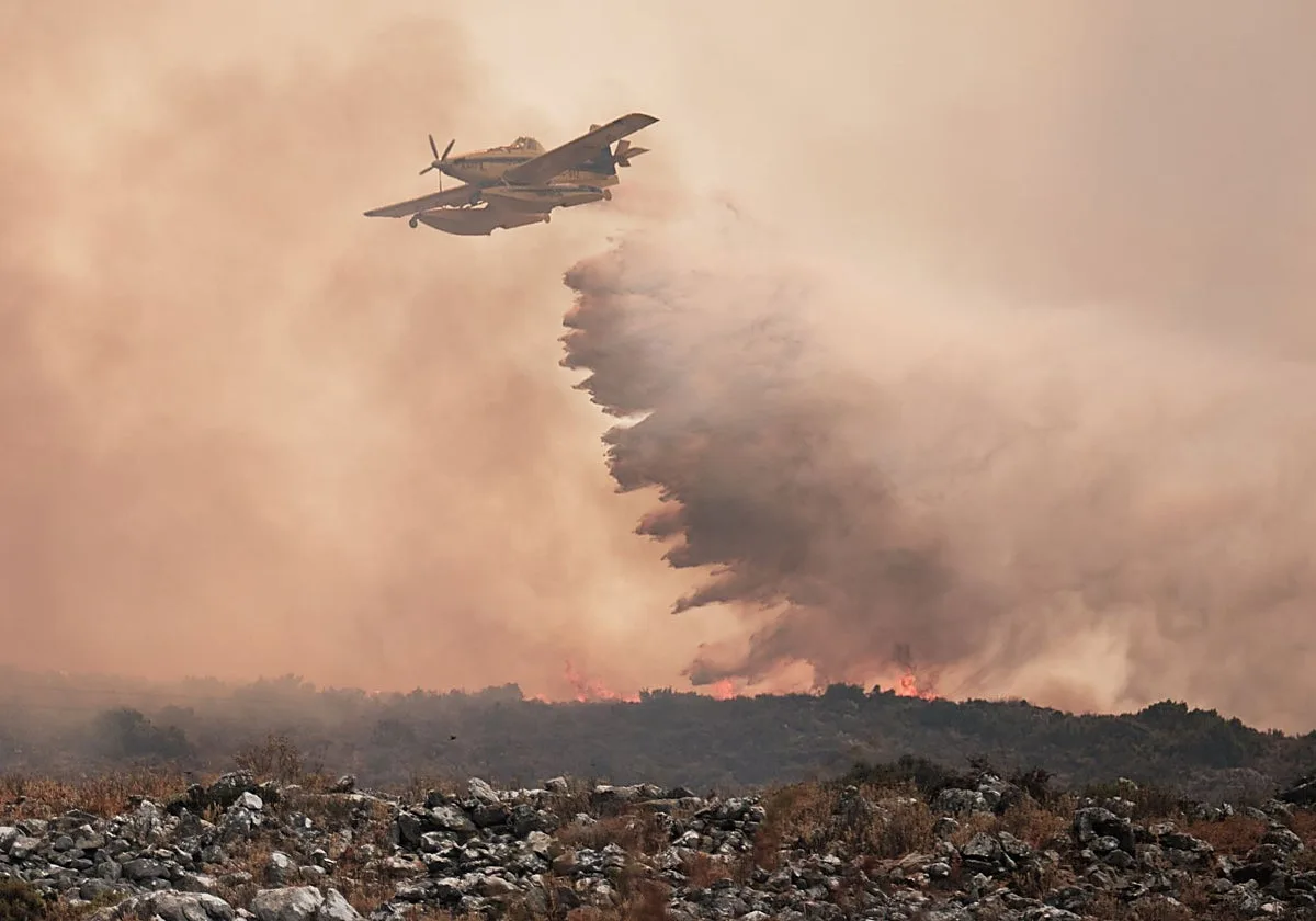 El verano más difícil de Andalucía: 59.000 hectáreas quemadas por el fuego, 27 detenidos y 14 fallecidos