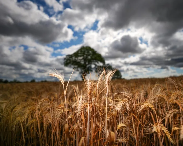 Reform says we need to choose between climate and economy. It's wrong | Larry Elliott
