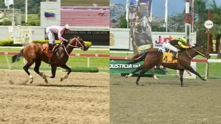Invicto vs. Racha triunfal: La competencia que reúne a dos de las mejores cartas del domingo en La Rinconada