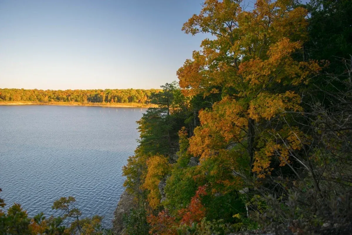 85% of Missouri’s waterways have ‘potentially unsafe’ amounts of feces in them