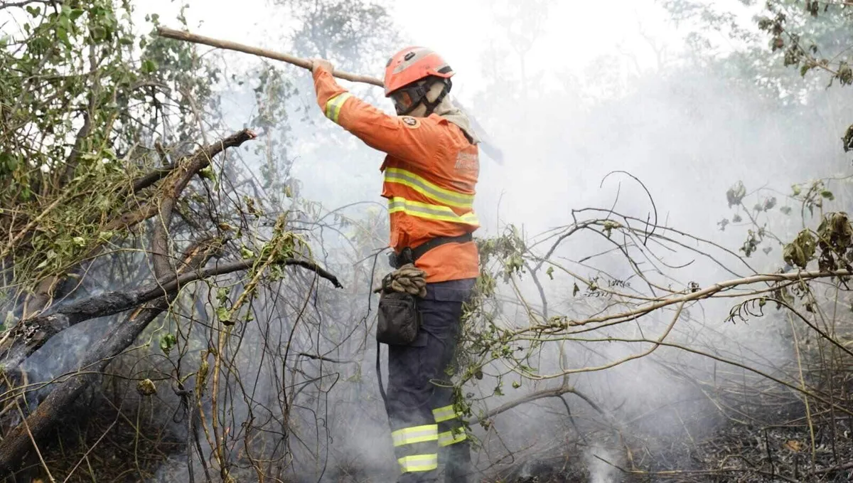 Apesar do Super El Niño, Pantanal pode ter menos fogo que em 2024