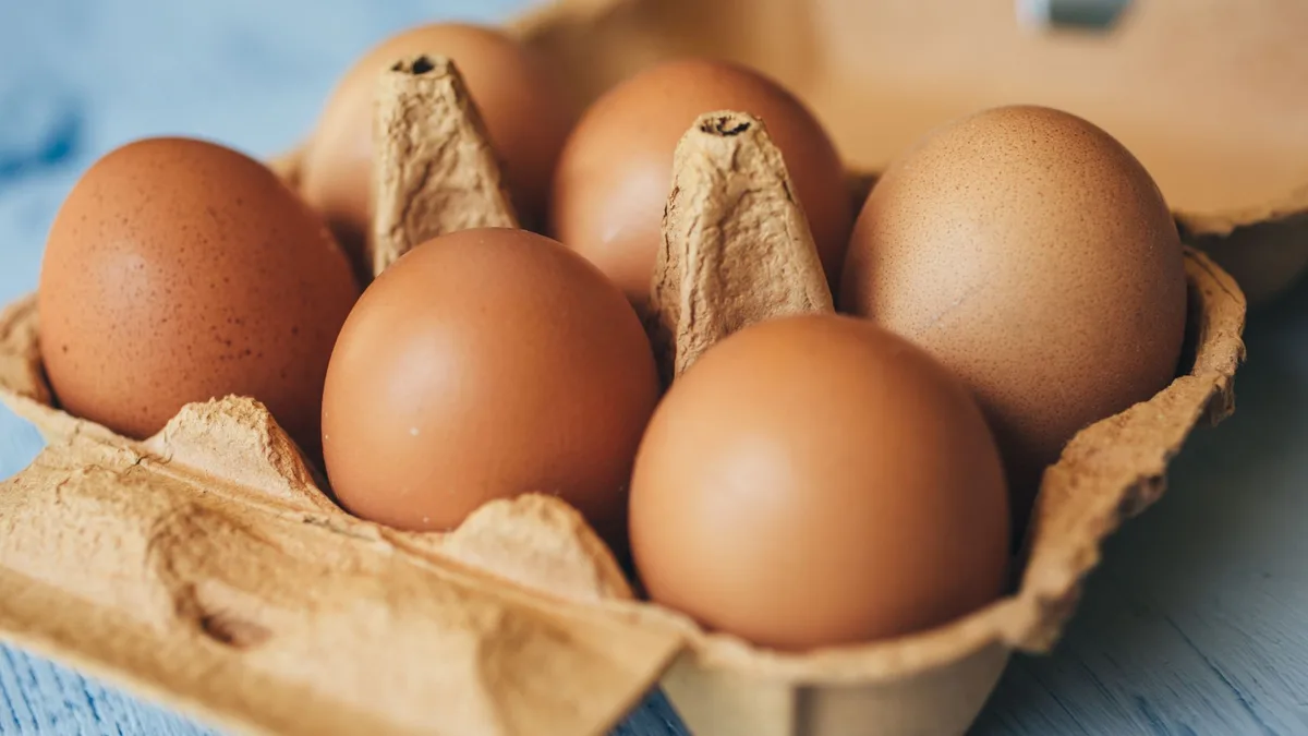 One dead and hundreds ill in UK salmonella outbreak