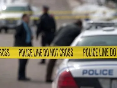 Man charged in alleged plot that targeted a Hindu place of worship in Illinois
