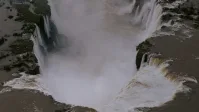 Onças formam casal inesperado em Parque Nacional do Iguaçu