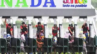 Este es el cuadro sugerido de bajo costo para el 5y6 nacional del domingo en La Rinconada