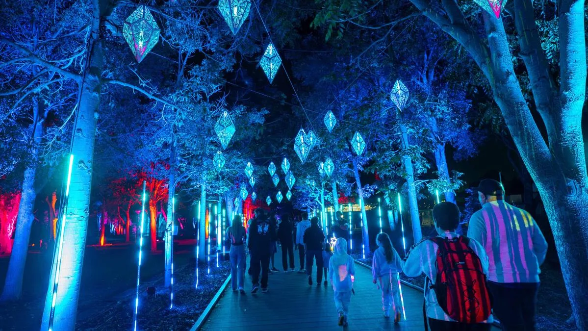 Bloom returns to Joondalup’s Central Park with all-new interactive light trail