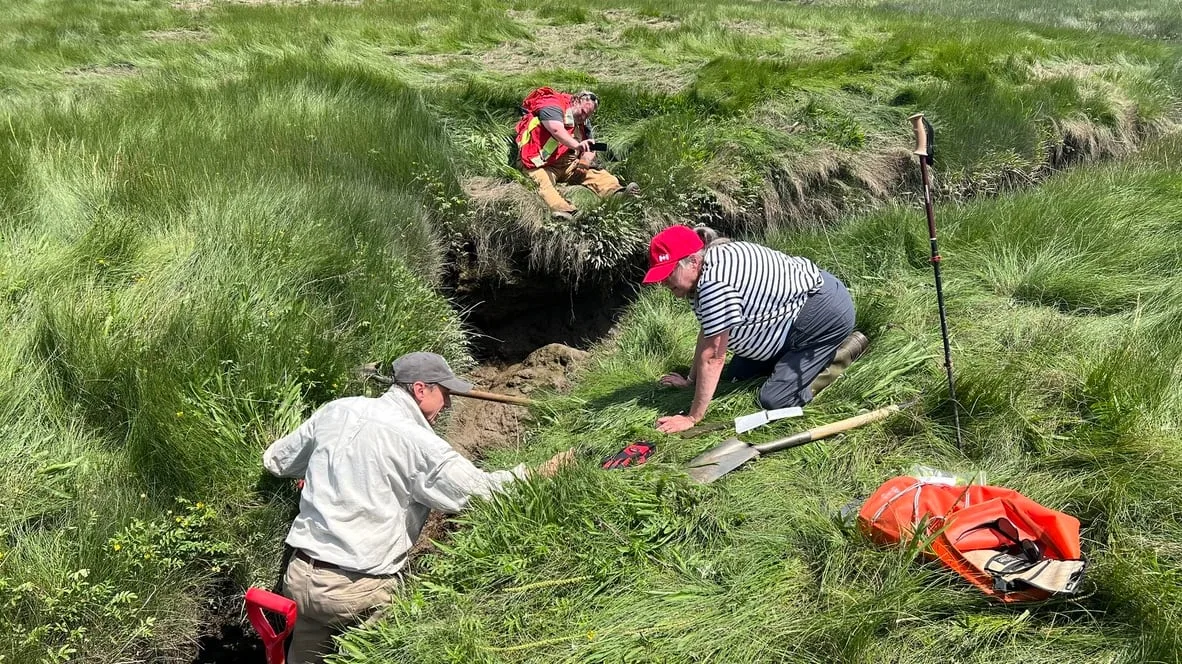 Unlocking a 400-year-old mystery in a Nova Scotia marsh
