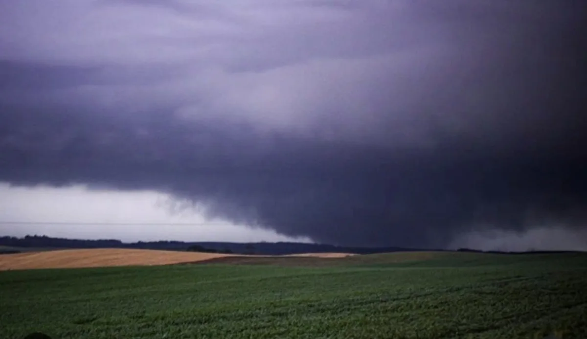 Tornado é confirmado em cidade de SC que teve árvores arrancadas pela raiz