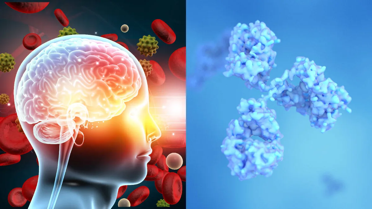 Northwestern scientists find tau protein hotspot; chemical tag stops clumps growing