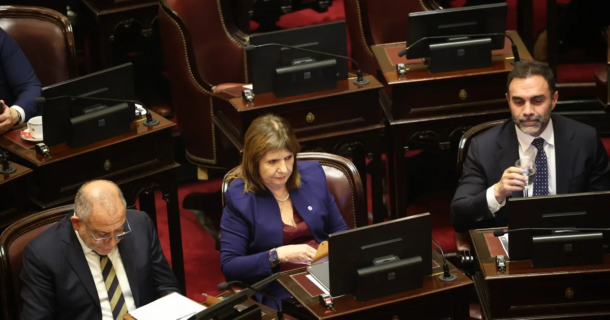 Patricia Bullrich activa otra semana explosiva en el Senado con proyectos clave para el Gobierno