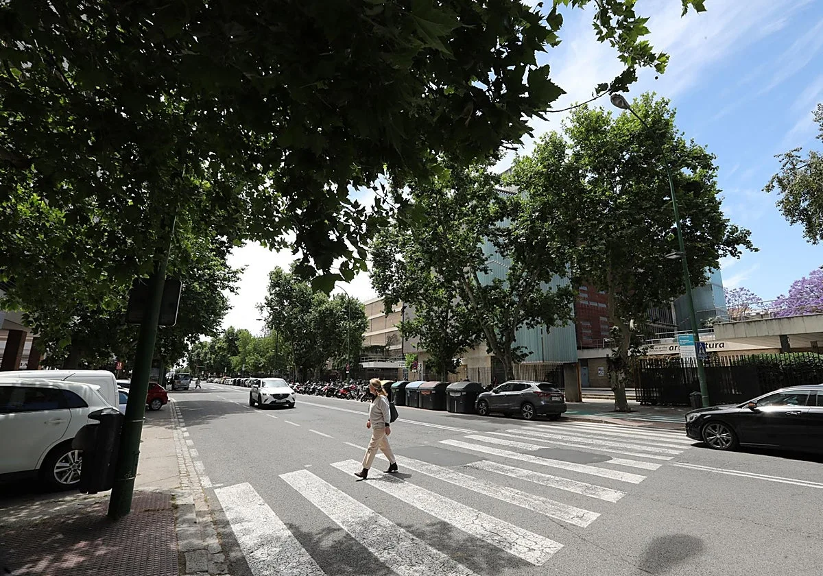 Los vecinos se preparan para las obras de Reina Mercedes a partir del octubre