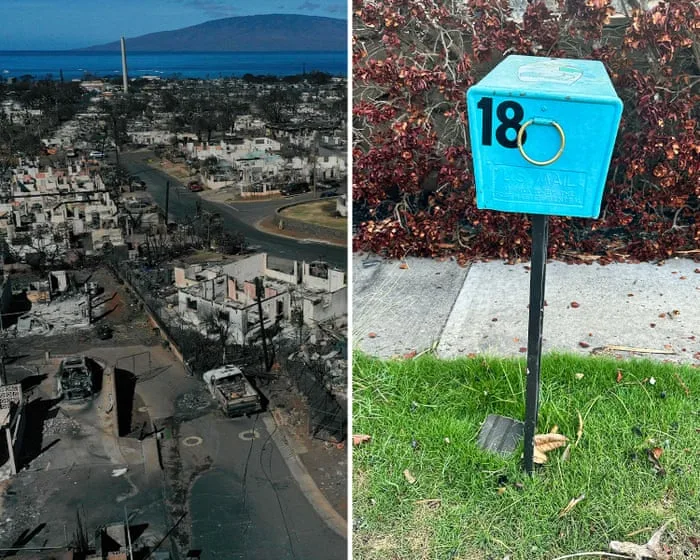 Kafka in paradise: Hawaii fire survivors in bureaucratic trap as US says no more mail delivery