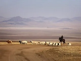 Cop17 contre la désertification : c’est quoi ce sommet qui s’ouvre aujourd’hui en Mongolie ?