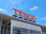 Tesco issues 'do not eat' warning for cheese and pasta salad over fears of contamination with ultra-deadly form of E.coli