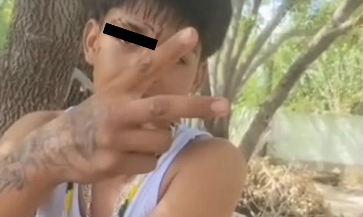 Investigan en Acuña ataque contra dos gatitos; menores de 13 y 14 años estarían involucrados