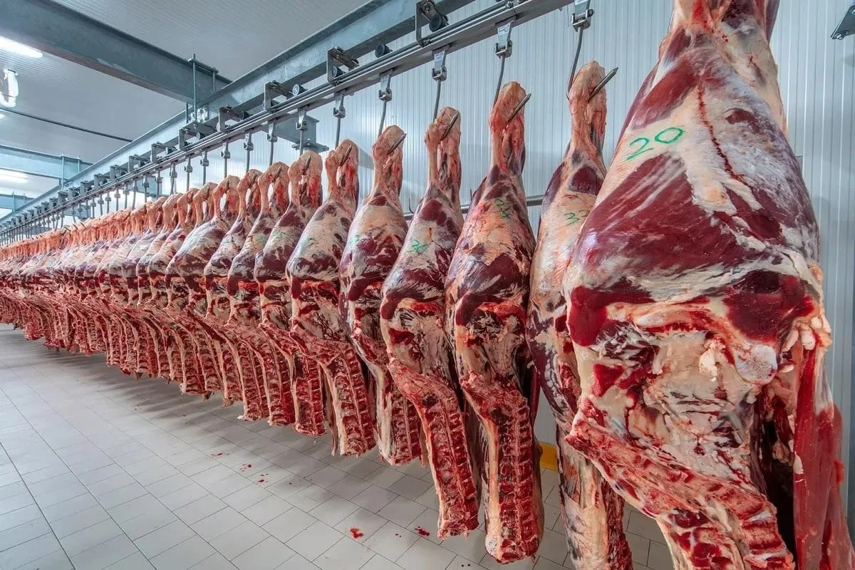 Carne vacuna: la salida de Brasil de Europa abre dos oportunidades para la Argentina y un riesgo en Estados Unidos