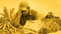 Inadimplência do crédito rural para pessoa física chega a recorde de 8,8%