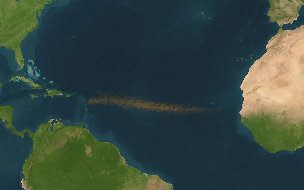 Les scientifiques n'avaient jamais observé un tel phénomène : un ruban brun géant transforme l'Atlantique