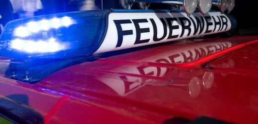 Zeulenroda-Triebes in Thüringen: Hunderte Schweine sterben bei Stallbrand