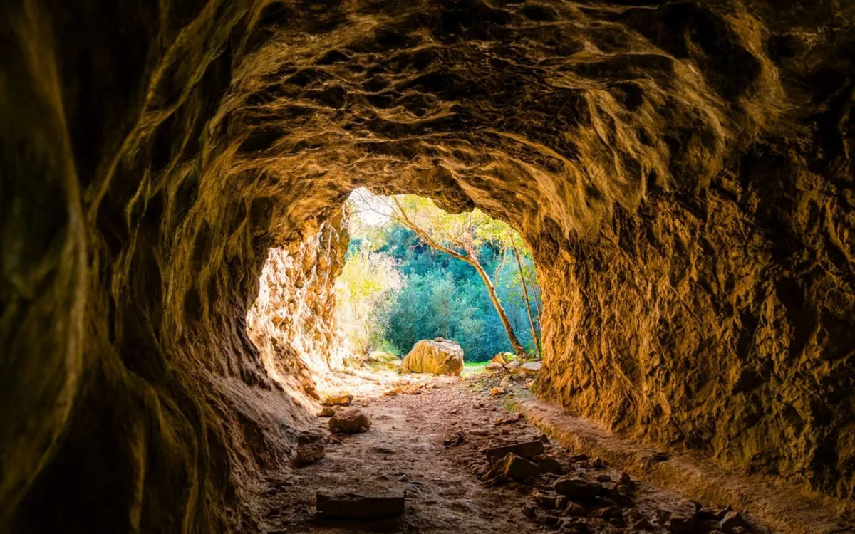 Des spéléologues descendent à 25 mètres sous terre en Grèce : la créature qu'ils y trouvent n'avait jamais été décrite