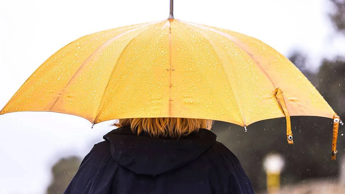 Chuva regressa ao litoral Norte e Centro na quarta-feira. Temperaturas descem no início da semana