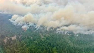 Incêndios aumentam na Amazônia impulsionados por El Niño e mudanças climáticas