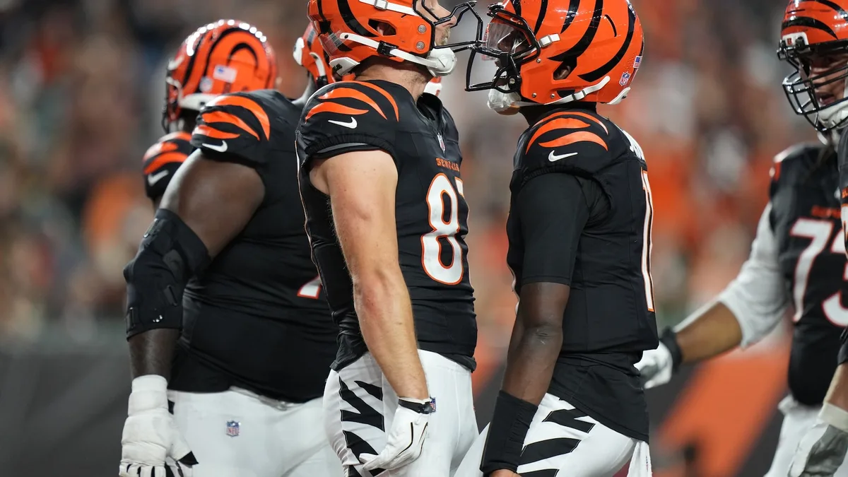 40-year-old journeyman QB Josh Johnson leads Bengals to 27-9 preseason victory over Bears