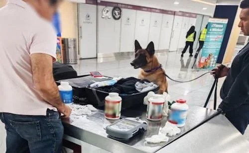 Decomisan casi 7 mil pastillas de hidrocodona en el AICM; venta está prohibida en México