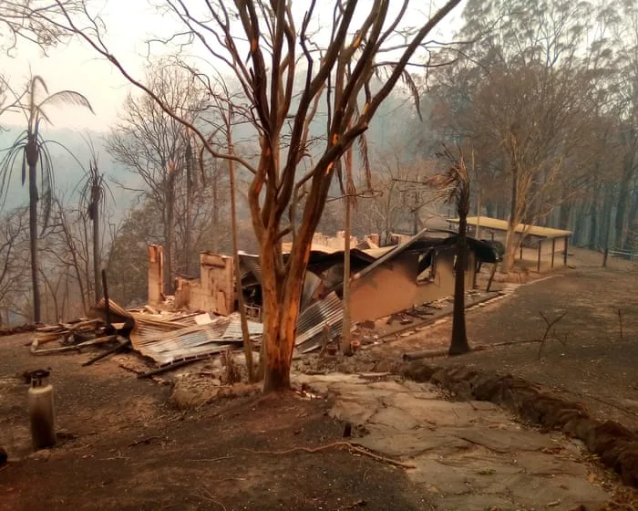 Almost all NSW homes destroyed in black summer bushfires were within 100 metres of flammable vegetation