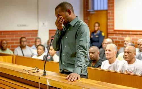 ‘Apart from my father…You gave me a beating’ Adams tells Madlanga as tears into email claims