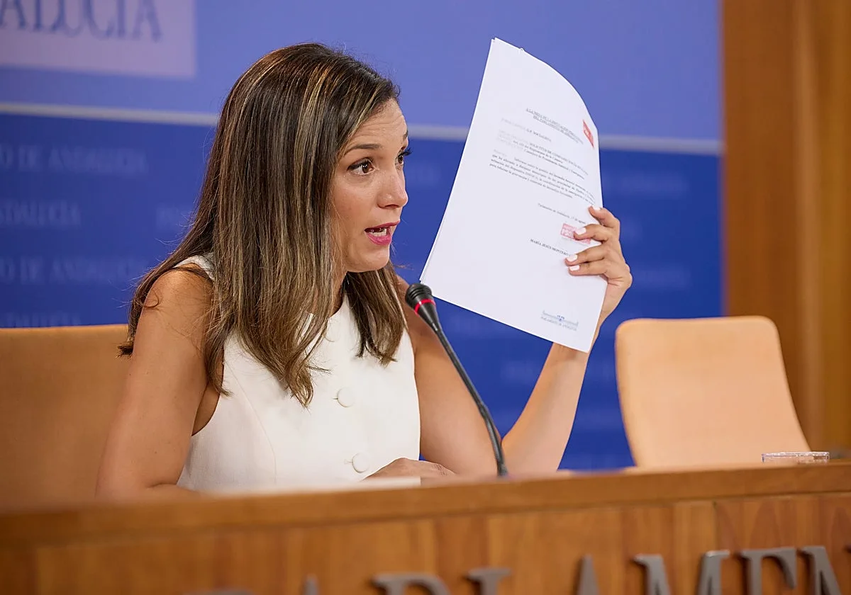 El PSOE pide un pleno «urgente» en el Parlamento y que Moreno «dé explicaciones» sobre el incendio de Niebla